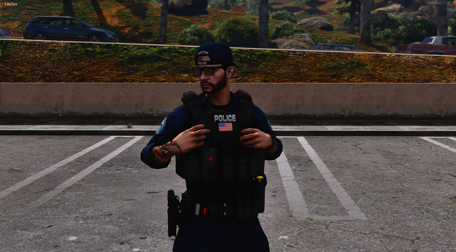 Street Crimes Task Force EUP Package [Lore Friendly] image 6